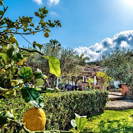 B&B Villa Bency 카포오를란도 외부 사진